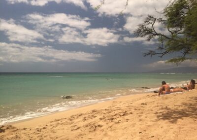 Kiawe Tree Maui Hawaii