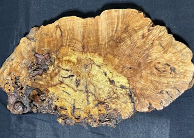 Spalted Pecan Burl