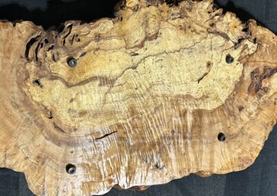 Spalted Pecan Burl